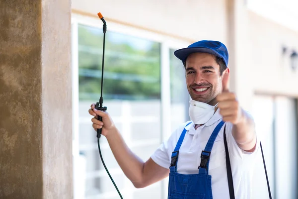 Hilliard Wasp Removal