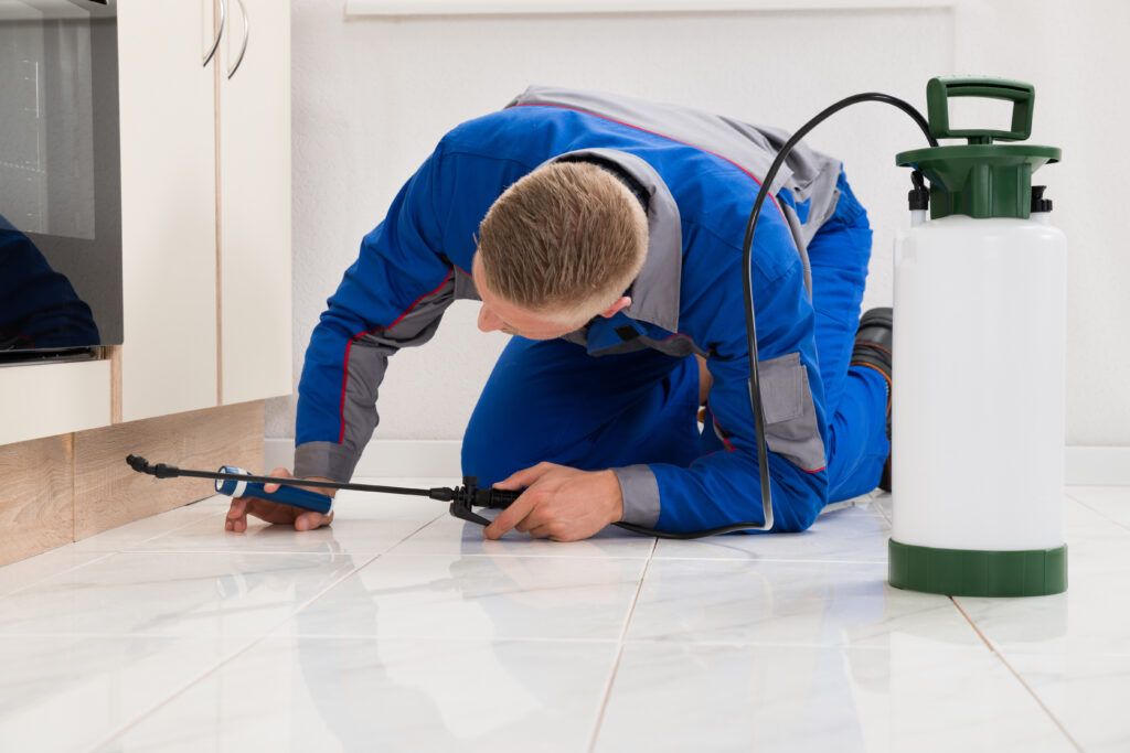 Hilliard Ant Control Xperts